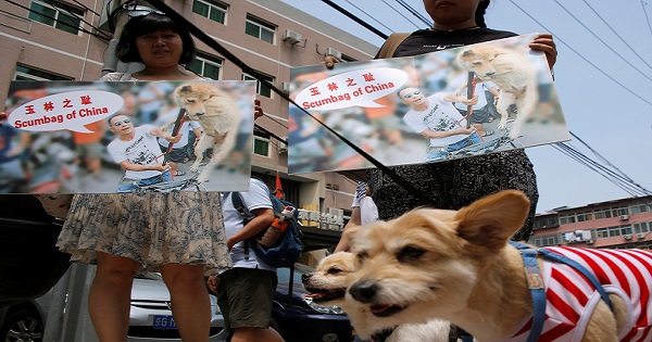 Animal activists hold banners against Yulin Dog Meat Festival as they carry rescued stray dogs in front of Yulin City Representative office in Beijing, China, June 10, 2016.