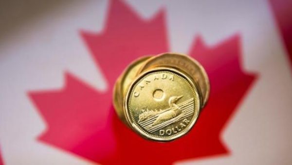 A Canadian dollar coin, commonly known as the ''Loonie'', is pictured in this illustration picture taken in Toronto January 23, 2015.
