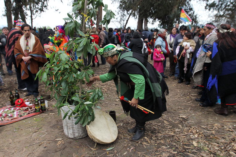 A Mapuche woman participates in the rites of We Tripantu, or the Mapuche New Year, in Santiago de Chile.