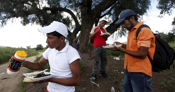 Illegal migrants from Honduras eat under a tree near a railway line before trying to climb onto a moving train in Huehuetoca, August 7, 2012.