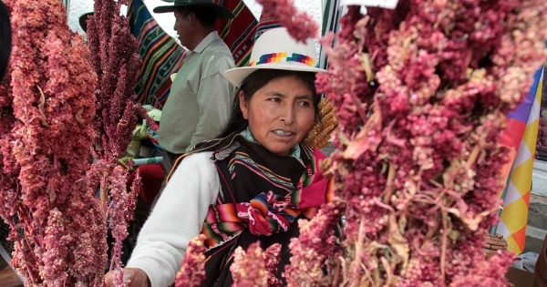 In Bolivia, small-scale producers account for 94 percent of national agricultural production.