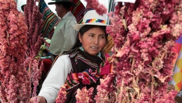 In Bolivia, small-scale producers account for 94 percent of national agricultural production. 
