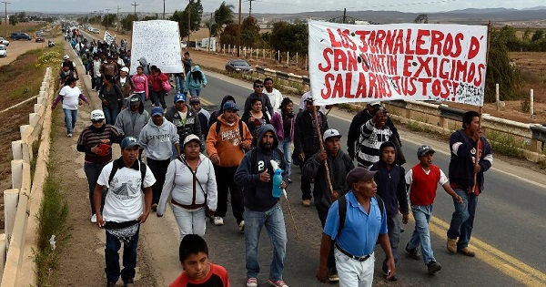 Farm workers protest along a road in San Quintin, Baja California state.