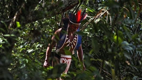 Traditional indigenous lands tend to be particularly precious because they make up less than one quarter of the Earth's land surface but contain 80 percent of the planet's biodiversity
