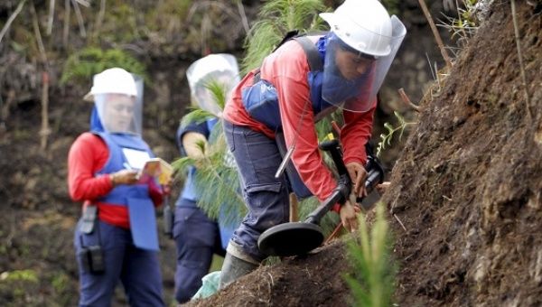 Officials look for planted mines in the Colombian jungle.