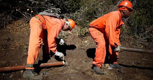 ﻿ Prison inmates lay water pipe on a work project outside Oak Glen Conservation Fire Camp #35 in Yucaipa, California.