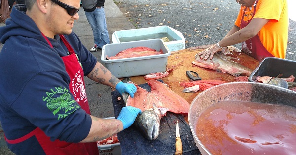 Members of the Lummi nation filleting and preparing salmon.