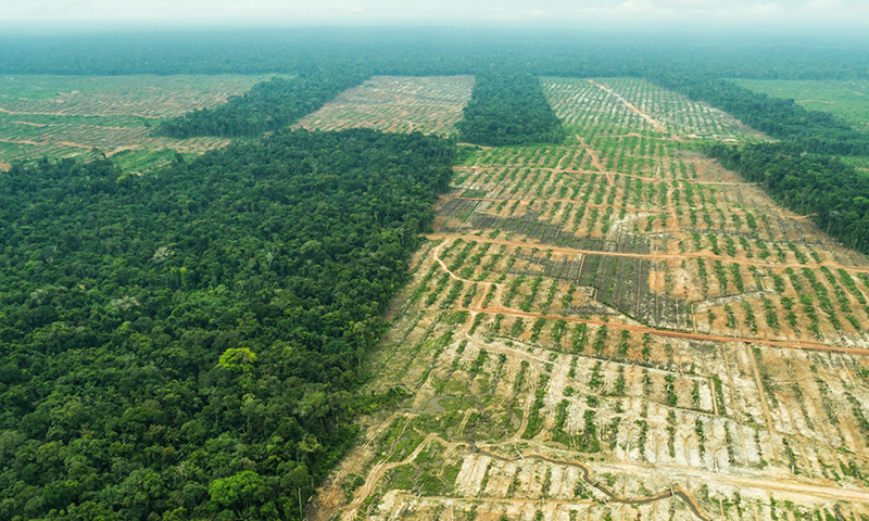 Deforestation of the Peruvian Amazon rainforest.