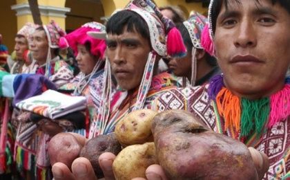 Peruvian campesinos hold native potatoes during a protest against GMO seeds and policies they argue undermine their rights. 