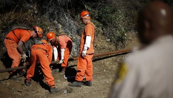 Prison inmates lay water pipe on a work project outside Oak Glen Conservation Fire Camp #35 in Yucaipa, California.