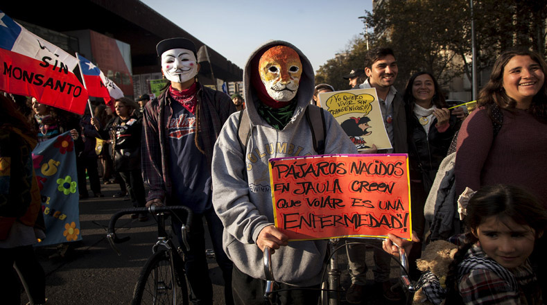 Activists took to the streets in Chile earlier this year to protest against the TPP and Monsanto.