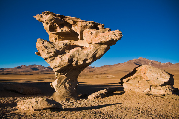 The Arbol de Piedra (Stone Tree) is a volcanic rock formation in the Siloli Desert in Bolivia.