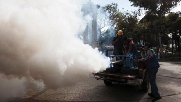 City workers fumigate a park as part of a preventative measure against the mosquito-borne Zika virus in Santa Tecla, El Salvador Jan. 29, 2016. 
