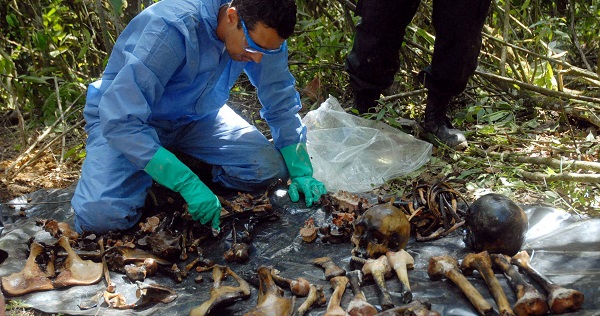 Colombian scientists examine the remains of three human bodies found in a mass grave in the village of San Cristobal, Colombia.