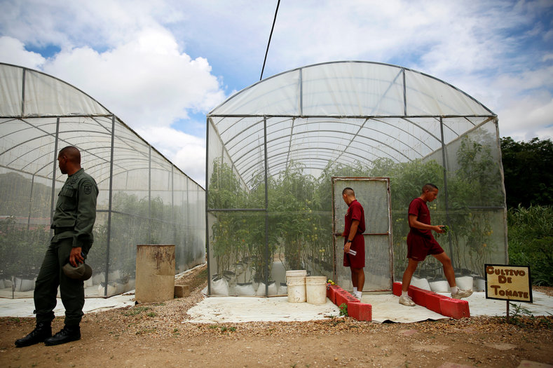 Soldiers walk in front of the greenhouses at the urban garden in the academy of the Venezuelan National Guard in Caracas, Venezuela June 29, 2016. 