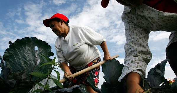 U.S. media called a voluntary program to boost a slowly developing agricultural sector 