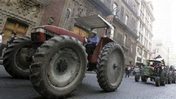 Thousands of Mexican farmers, some herding cows, flooded into the capital and set a tractor on fire to demand government protection against cheap U.S. farm imports. 