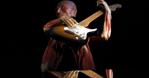 A plastinated human body with an electric guitar is seen during the exhibition ‘Body Worlds’ by Gunther von Hagen in Rome, Italy.