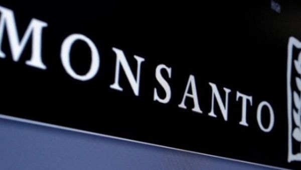 Monsanto logo is displayed on a screen.