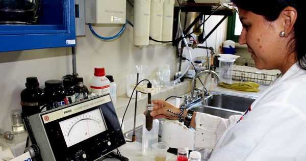 A scientist examines pollution-fighting plant biomass in a laboratory.