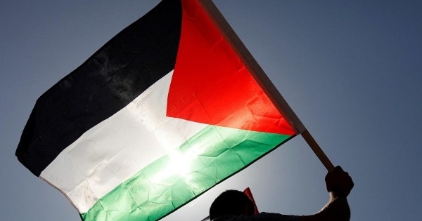 A man raises the flag of Palestine.