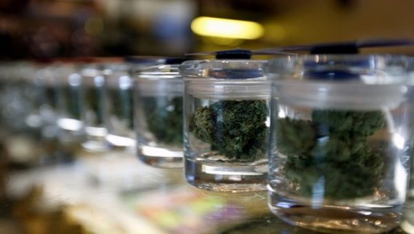 Medicinal marijuana buds in jars are pictured at Los Angeles Patients & Caregivers Group dispensary in West Hollywood, California U.S. on Oct. 18, 2016. 