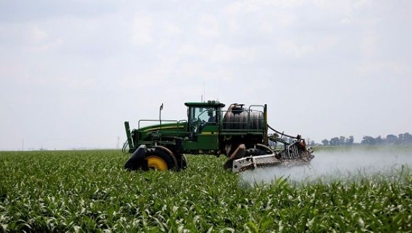 A worker uses a tractor to spray a field of crops during a crop-eating armyworm invasion at a farm near Settlers in Limpopo province, South Africa.
