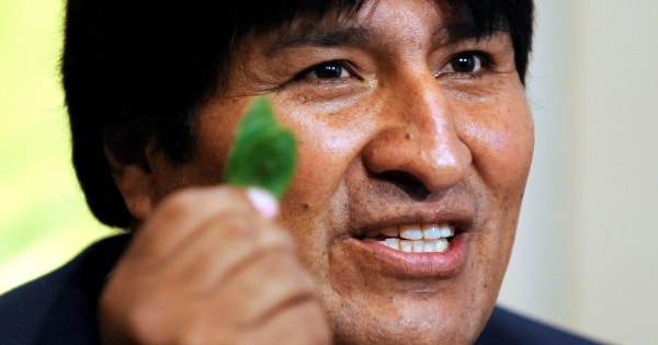 Evo Morales was a leader of the cocalero union before being elected president.