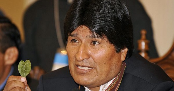 Bolivian President Evo Morales holding coca leaves.