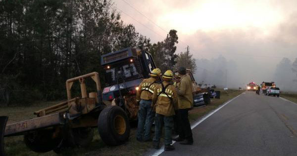 Florida Forest Service spokeswoman Annaleasa Winter said winds blew paper away from the initial burn site, causing the disaster.
