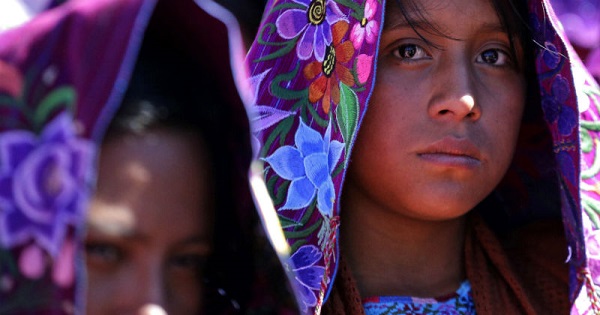 Organizations denounce that the new law will adversely affect Indigenous people in Mexico.