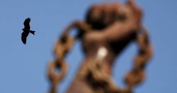 A bird flies past a statue commemorating the liberation of slaves.