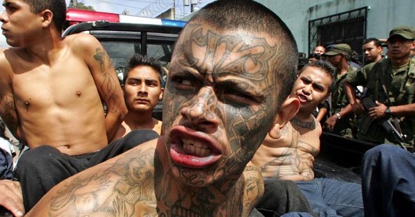 MS-13 gang members being arrested by authorities