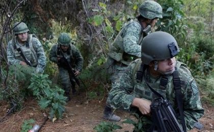 Soldiers stand guard as they destroy poppies during a military operation in the municipality of Coyuca de Catalan, Mexico, on April 18, 2017.