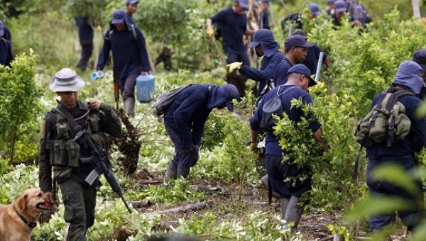Colombia produced 710 metric tons of cocaine last year, up from 235 metric tons in 2013, according to a new report.