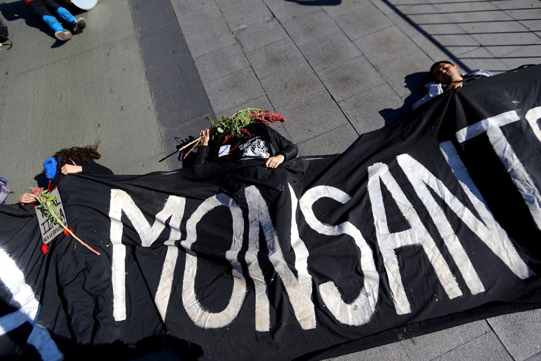 Demonstrators pretending to be dead lie on the ground during a protest against seeds company Monsanto in Santiago, Chile, May 20, 2017.