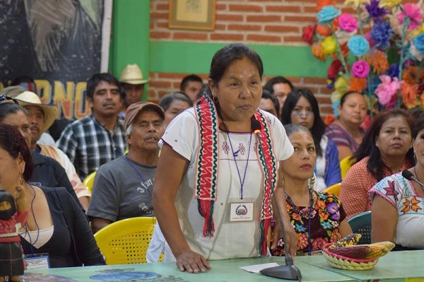 Maria de Jesus Patricio “Marichui” Martinez was elected by Mexico's National Indigenous Congress  to run as their independent candidate in the 2018 presidential elections