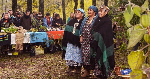 Indigenous Mapuche Play Key Role Protecting Chile's Environment