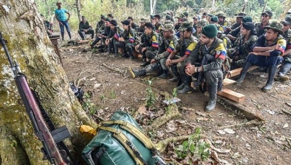 Members of the Revolutionary Armed Forces of Colombia have agreed to end their 50-year conflict after signing a peace deal with Bogota.