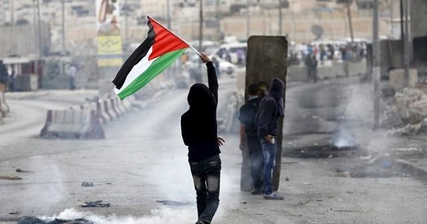 A Palestinian protester waves the Palestinian flag.