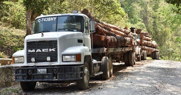 A truck hauls sustainably produced lumber on April 25, 2017, in San Andres, a town near the Maya Biosphere Reserve in northern Guatemala.