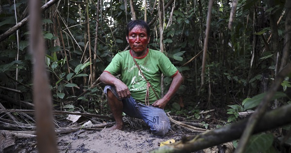 Indigenous communities living in the rainforest are struggling to survive
