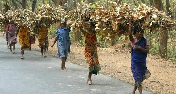 Tribal women carry bundles of twigs and leaves near Shantiniketan, 150 km (95 miles) northwest of Calcutta on March 18, 2004.