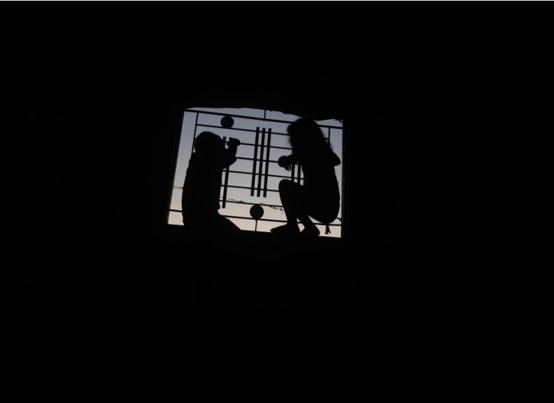The silhouettes of two children playing by a window 