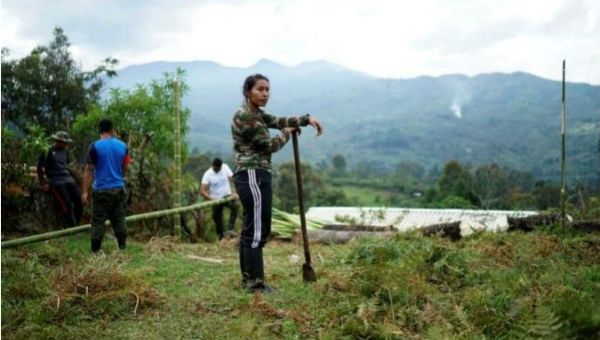 FARC members help build peace camp facilities near the transitional zone of Pueblo Nuevo in the Cauca mountains of Colombia.