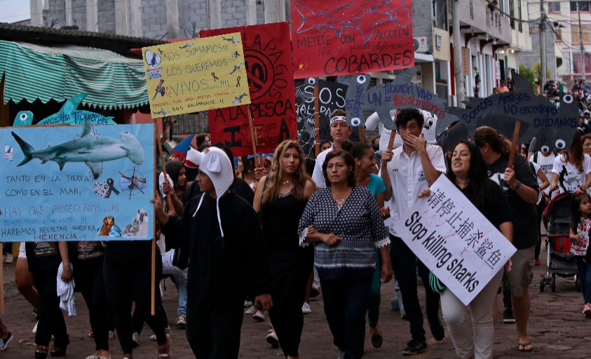 Galapagos residents protest against illegal fishing in the islands' sensitive marine reserve.
