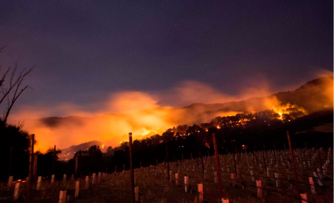Fire glows beside a winery in Napa, California. The fire has already consumed thousands of acres as dozens of homes and businesses have burned in the blaze.