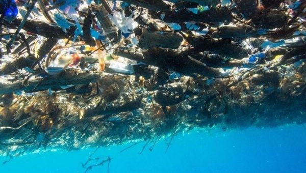 Over eight million tons of plastic are dumped into the oceans every year.
