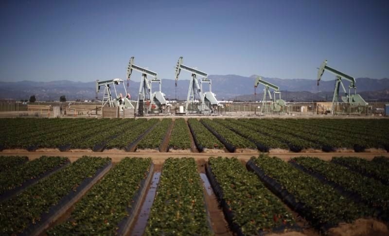Oil pump jacks are seen next to a strawberry field in Oxnard, California, Feb. 24, 2015.