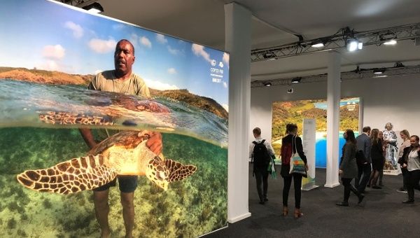 Delegates walk past a poster showing a man holding a turtle and other pictures from the Pacific Islands during the COP23 UN Climate Change Conference 2017, hosted by Fiji but held in Bonn, Germany November 10, 2017.